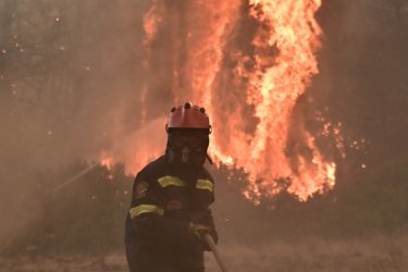 Υπό μερικό έλεγχο η φωτιά στη Νέα Τρίγλια Χαλκιδικής