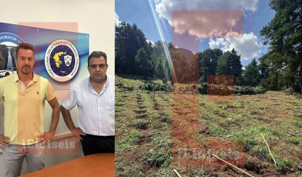 Κορινθία: Καταγγελία για «εγκλωβισμένους» αστυνομικούς σε μεγάλη φυτεία κάνναβης