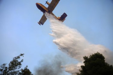 Θεσσαλονίκη: Φωτιά στην Πυλαία και μήνυμα του 112 (Βίντεο)