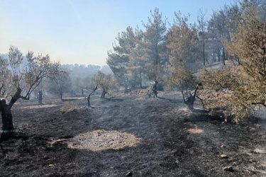 Υπό έλεγχο η φωτιά στη Λέσβο – Καταστροφικό το πέρασμά της
