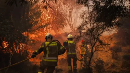 Κλιματική κρίση: Μελέτη προβλέπει 98% περισσότερες πυρκαγιές από κεραυνούς – Τουλάχιστον 20.000 θάνατοι ετησίως έως το 205