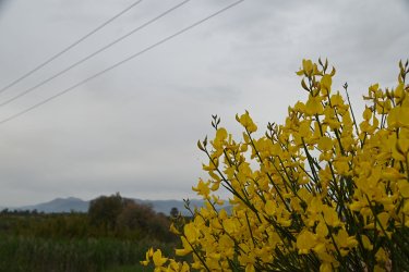 Χαλάει ο καιρός σύντομα: Κακοκαιρία σε τροχιά προς Ελλάδα