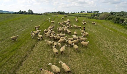Σκάνδαλο ΟΠΕΚΕΠΕ: Οικόπεδο «φιλέτο» στη Μύκονο βαφτίστηκε βοσκοτόπι