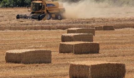 Σκάνδαλο ΟΠΕΚΕΠΕ: Από 197 ελεγχόμενους στα Τρίκαλα, παραπέμφθηκαν οι 4 – Έψαχναν επτά χρόνια τα ίδια άτομα