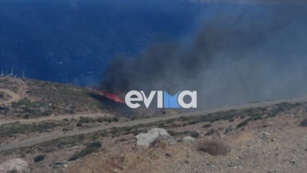 Φωτιά τώρα στην Κάρυστο – Σηκώθηκαν 6 εναέρια μέσα