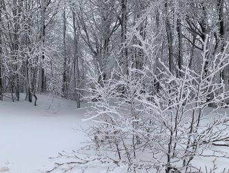 Δεν είναι πλάκα: Σε δύο μέρες πέφτουν τα πρώτα χιόνια