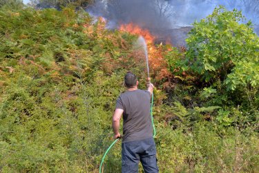 Φωτιά στις Μελέσες Κρήτης – Επιχειρούν 65 πυροσβέστες και ένα ελικόπτερο