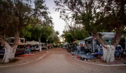 Φοινικούντα: Προσαγωγή 17χρονου για το διπλό φονικό – Το βλέμμα στη διαθήκη