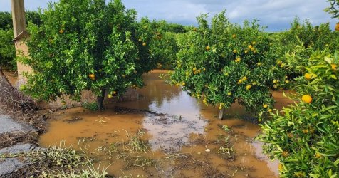 Σαρωτική η κακοκαιρία σε Κέρκυρα και Λακωνία – Ξεριζωμένα δέντρα, πλημμύρες και εγκλωβισμοί