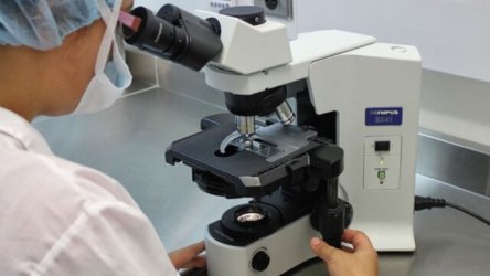 Συναγερμός στη Γερμανία: Επιθετικός ιός πολιομυελίτιδας ανιχνεύθηκε σε λύματα