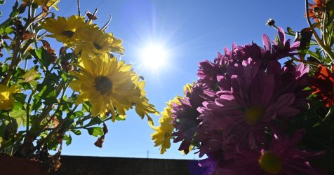 Καιρός: Αύξηση θερμοκρασίας και αφρικανική σκόνη – Τι καιρό θα κάνει τη 17η Νοέμβρη