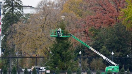 HΠΑ: Στολίστηκε το χριστουγεννιάτικο δέντρο του Λευκού Οίκου (Εικόνες & Βίντεο)