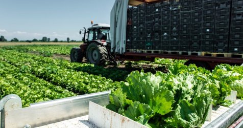 ΟΠΕΚΕΠΕ: Νέα πληρωμή σε 82.870 αγρότες – Τα ποσά