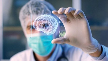 Έρευνα: Ο ανθρώπινος εγκέφαλος είναι “προγραμματισμένος” με οδηγίες για να κατανοεί τον κόσμο