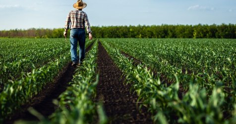 ΟΠΕΚΕΠΕ: Την Παρασκευή η πληρωμή της προκαταβολής της βασικής ενίσχυσης