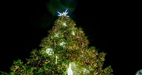 Σε ρυθμούς Χριστουγέννων η Αθήνα: Φωταγωγήθηκε το δέντρο στο Σύνταγμα (Βίντεο, Εικόνες)