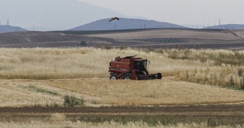 Στα 3,7 δισ. ευρώ οι αγροτικές επιδοτήσεις το 2025 – Όσα πρέπει να ξέρετε μέσα από 11 ερωταπαντήσεις