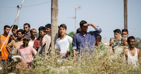 Γαλέρα για 44 αλλοδαπούς στο Μεσολόγγι – Ο «Ντάνι» που στρατολογούσε μέσω social και υπόσχονταν δουλειά και νόμιμα χαρτιά