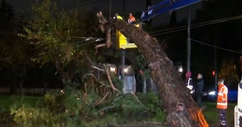 Κακοκαιρία Byron: Πτώση δέντρου στο Χαλάνδρι – Επί ποδός συνεργείο για την απομάκρυνσή του