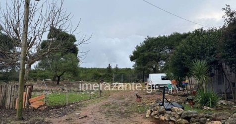 «Δεν έχουμε αντικρίσει ξανά τέτοια εικόνα» – Σοκαρισμένοι οι γιατροί με το 2χρονο που κατασπάραξε το πίτμπουλ