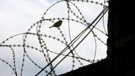 Κύπρος: 35χρονος κρατούμενος βρέθηκε νεκρός στις Κεντρικές Φυλακές