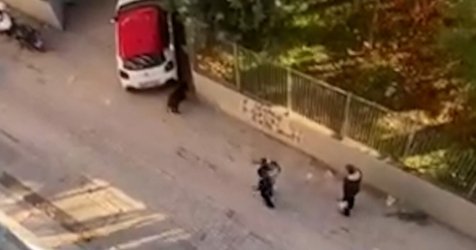 Απίστευτες εικόνες στη Θεσσαλονίκη, με αστυνομικούς να κυνηγούν… αγριογούρουνο (βίντεο)