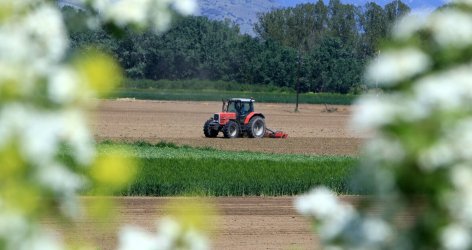 Πληρωμή αγροτεμαχίων έως 20 στρέμματα παρά τα προβλήματα ΚΑΕΚ – Τι προβλέπει η εγκύκλιος