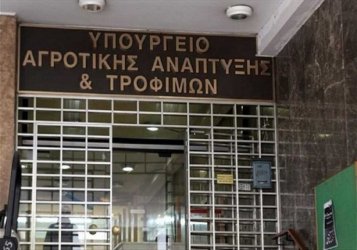 Ρύθμιση για αγρότες που έχασαν τη βασική ενίσχυση λόγω Κτηματολογίου – Πώς θα πληρωθούν