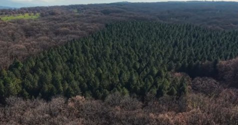 Το Δρυόδασος της Φολόης σε ένα καθηλωτικό οδοιπορικό – Βίντεο