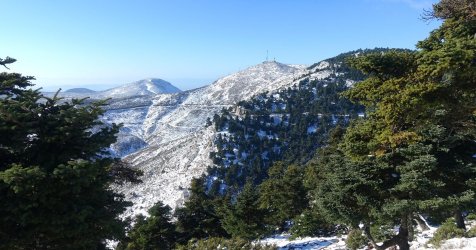 Διακοπή κυκλοφορίας λόγω χιονόπτωσης στη Λεωφόρο Πάρνηθος