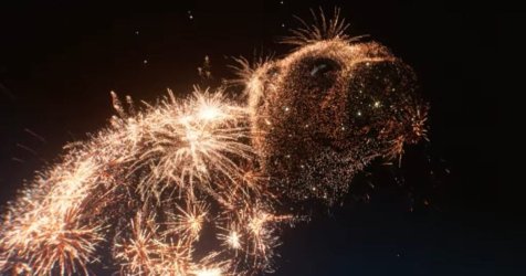 Προστασία των Ζώων Συντροφιάς: Στις εορταστικές εκδηλώσεις υιοθετήστε τα αθόρυβα πυροτεχνήματα