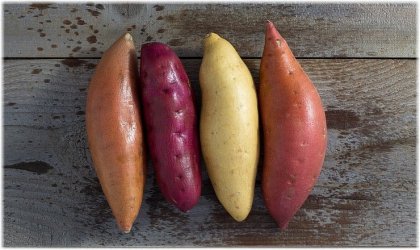 Γλυκοπατάτα: Η Υπερτροφή που Αξίζει να Ανακαλύψετε!