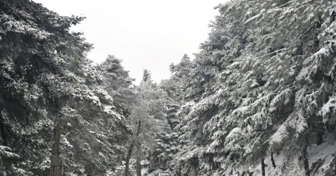 Έρχεται κύμα ψύχους: Σε ποιες περιοχές θα χιονίσει μέχρι τη θάλασσα – Τι θα γίνει στην Αττική