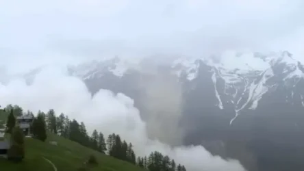 Τραγωδία στις Άλπεις: Οκτώ νεκροί μέσα σε μία ημέρα από φονικές χιονοστιβάδες