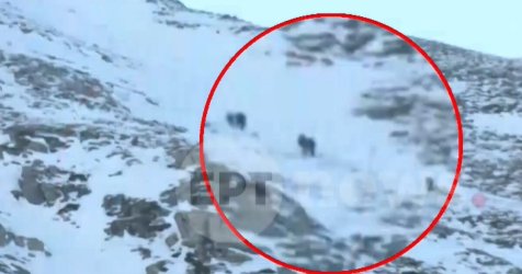 Ταΰγετος: Κατεβάζουν τους εγκλωβισμένους ορειβάτες – 4 τραυματίες (εικόνες, βίντεο)