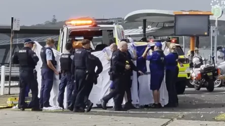 Αυστραλία: Νεκρός ο 12χρονος που είχε δεχθεί επίθεση καρχαρία στο Σίδνεϊ – Υπέκυψε στα τραύματά του (Βίντεο)