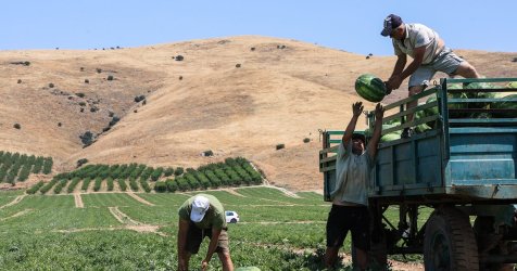 Αγρότες: Ανοίγει η πλατφόρμα για διορθώσεις – Η νέα προθεσμία