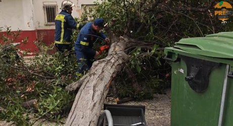 Ισχυροί άνεμοι «σάρωσαν» την Αττική – Δέντρα έπεσαν σε Καισαριανή, Νέα Σμύρνη, Περιστέρι