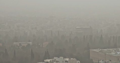 Ο Εθνικός Κήπος έγινε… τροπικός – Η σκόνη από την Αφρική άλλαξε την όψη του (Βίντεο)