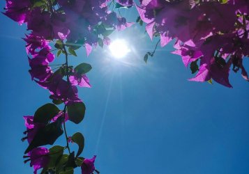 Καιρός «έκπληξη» στην Αθήνα: Η πρόγνωση που αλλάζει το σκηνικό