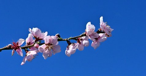 Κλέαρχος Μαρουσάκης: Ολοταχώς για ζέστη τον Μάρτιο