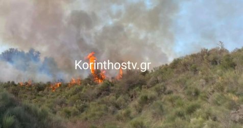 Φωτιά σε δασική έκταση στα Σοφιανά Κορινθίας – Μεγάλη κινητοποίηση της Πυροσβεστικής