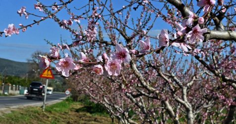 Καιρός: Έως τους 19 βαθμούς ο υδράργυρος – Πού αναμένονται βροχές
