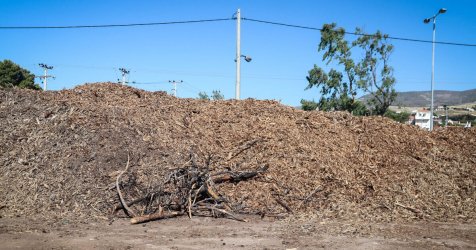 Ξεκινά ο υποχρεωτικός καθαρισμός οικοπέδων – Τα πρόστιμα