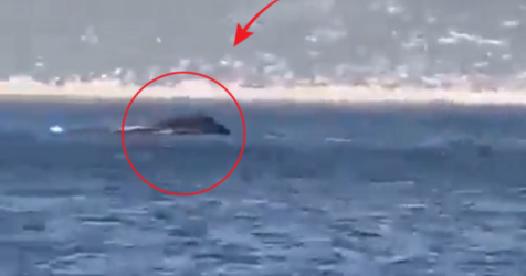 Βίντεο από το βυθισμένο σκάφος της Frontex στο Καστελόριζο – Επέβαινε και η πρέσβειρα της Εσθονίας