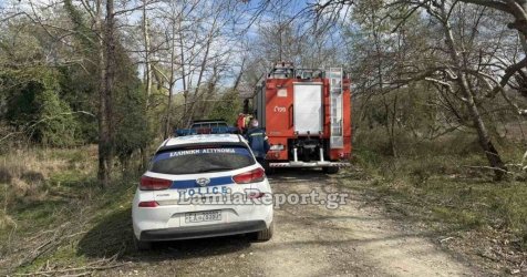 Λαμία: Νεκρός 68χρονος – Καταπλακώθηκε από κορμό δέντρου