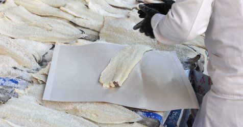 Πιο «αλμυρός» φέτος ο μπακαλιάρος – Αγγίζει τα 30 ευρώ το κιλό
