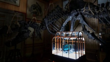 Τσάντα από καλλιεργημένο δέρμα τυραννόσαυρου: Η πρωτοποριακή δημιουργία που θα δημοπρατηθεί στο Άμστερνταμ!