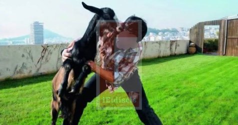 Αμπελόκηποι: Σπάει τη σιωπή του ο «κτηνοτρόφος της ταράτσας» – Τι λέει για τα ζώα