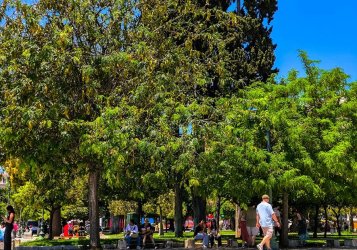 Τι καιρό θα κάνει την Μεγάλη Εβδομάδα – Η πρόγνωση του Θ. Κολυδά